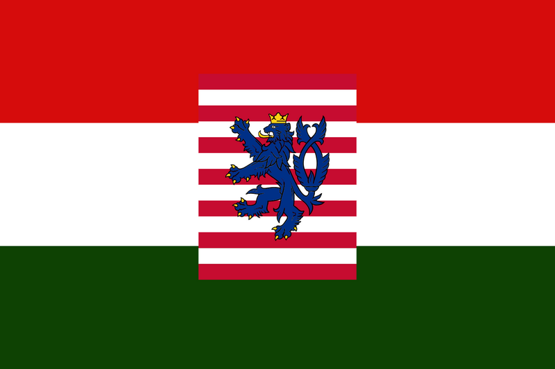File:Primera Bandera de Nueva Hungria.png