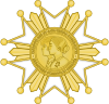 Pendant of the Order