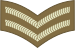 File:Baustralia Army OR-4.svg