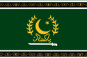 Flag of APM