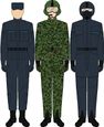 Air Force's Combat Uniform