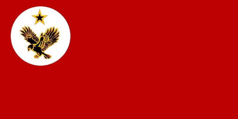 File:Flag of USSDR.jpg