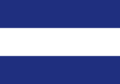Unofficial Tricolour Flag.