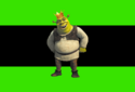 Flag of Kingdom of Super Shrek