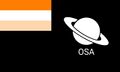 Space Program Flag