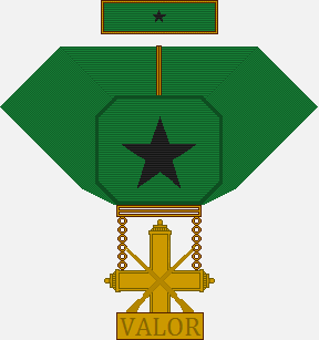File:Medal of Valor2.png