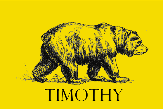 File:Timothy flag.png