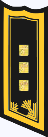 File:Ebenthal Division General OF-08 Neo.png