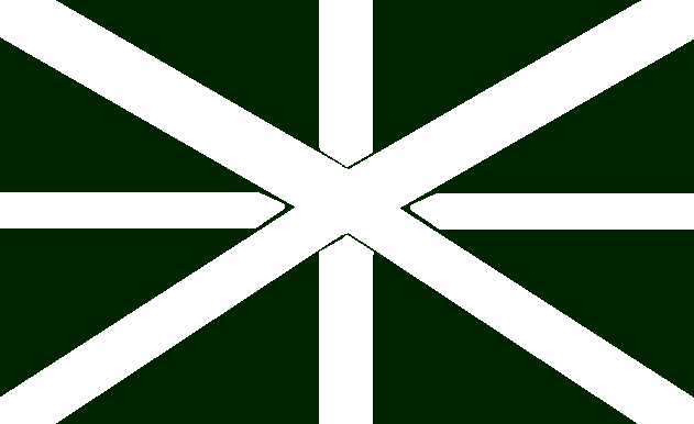 File:Aynvaull's Unstarred Flag.png