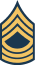 File:DAS E7 insignia.png