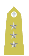 File:Matachewanian Kapitan(Army).png