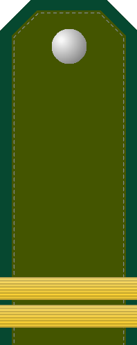 File:Atovia OR-3 Lance Corporal.png