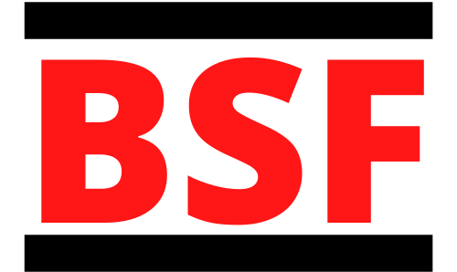 File:Brienian Socialist Front BSF.png