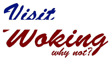 File:Visit Woking Logo.png
