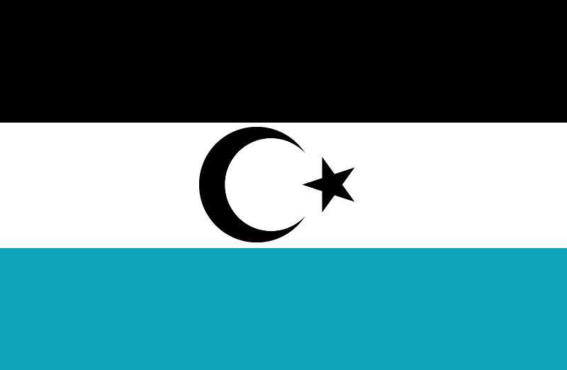 File:Timur Flag.png