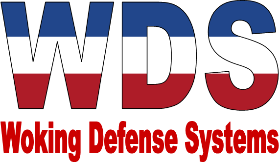 File:WDS logo.png