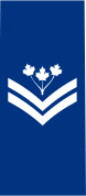 File:Royal Canadian Navy Petty Officer, 2nd Class.png