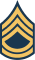 File:DAS E6 insignia.png