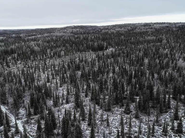 File:Northern Forests.jpg