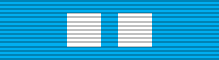 File:Medal for Ion's Stand.png