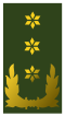 File:60px-Nl-landmacht-luitenant generaal.png