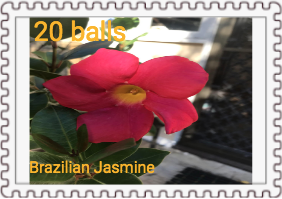 File:Brazilian Jasmine F Series Stamp.png