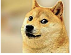 File:Doge (meme).png