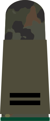 File:Atovia Field OR-3 Lance Corporal.png