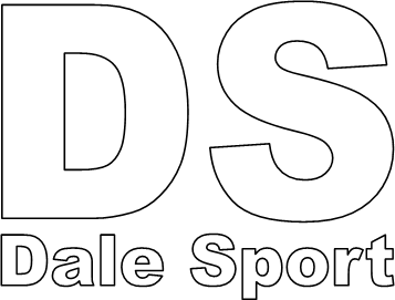 File:DS logo.png