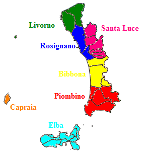 File:Map of Rosignano.png