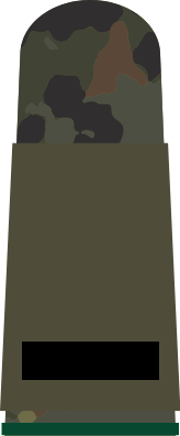 File:Atovia Field OR-6 Junior Sergeant.png