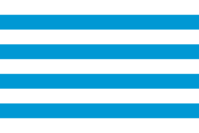 File:Baravia flag.png