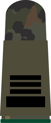 File:Atovia Field OR-9 Sergeant Major.png