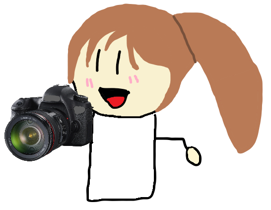 File:Personwithcamera.png