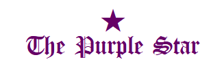 File:Purple star logo.png