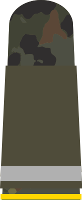 File:Atovia Field OF-0 Officer Cadet.png