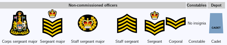 File:Wellmoorean Police NCO Ranks.png