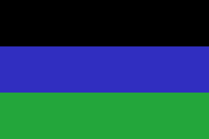File:Dolmanian flag.png