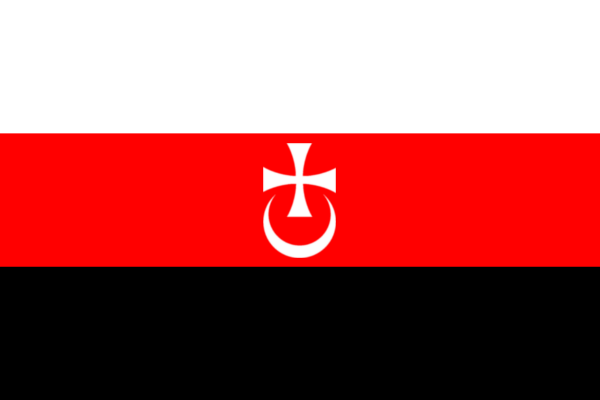 File:Flag of Novigrad.png