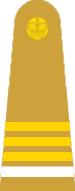 File:Rangers Officers Rankslides Colonel.png