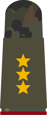 File:Atovia Field OF-8 Lieutenant General.png