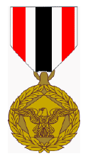File:Espionage Medal.png