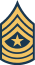 File:DAS E8 insignia.png