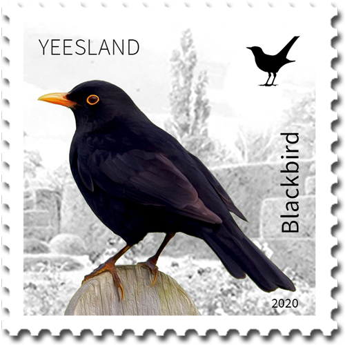 File:Yeesland postage stamp No 9. - Birds - Blackbird.png