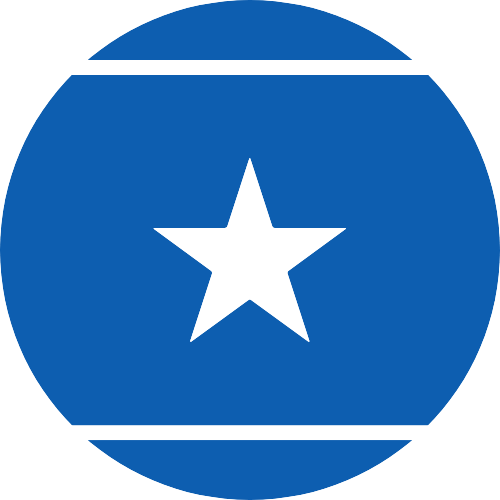 File:Zeytineli Circle flag logo.png