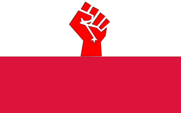File:Flag of the Nedlandic Polish Territory.png