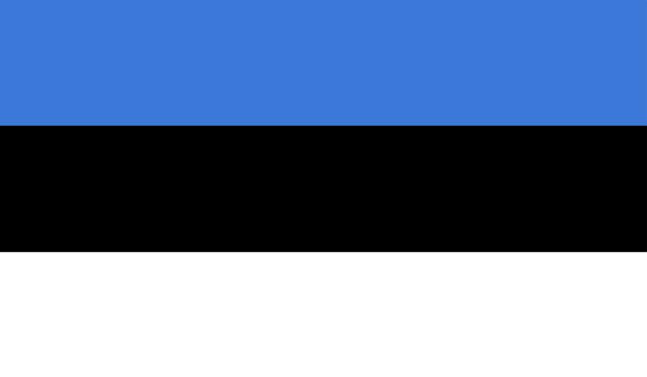 File:New Estonia Flag.jpg