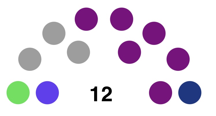 File:First Senate of Roscamistan term composition.jpeg