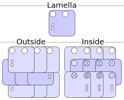 File:Aethodia-Schematic-LamellarPattern.png