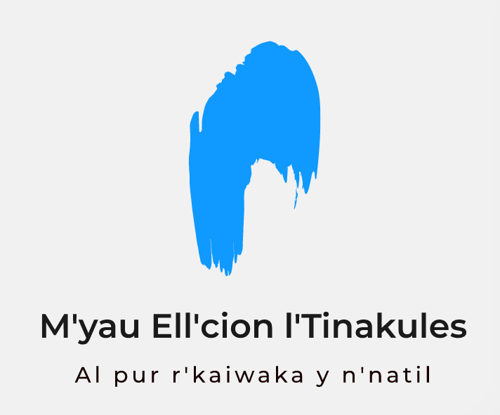 File:Socialist States of Tinakula Mayorial Elections.png